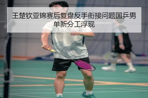 王楚钦亚锦赛后复盘反手衔接问题国乒男单新分工浮现